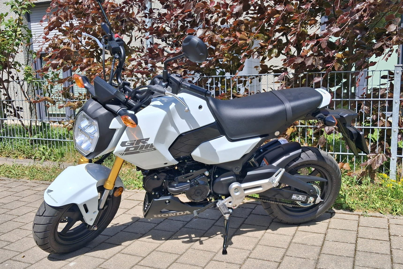 MSX125 2025